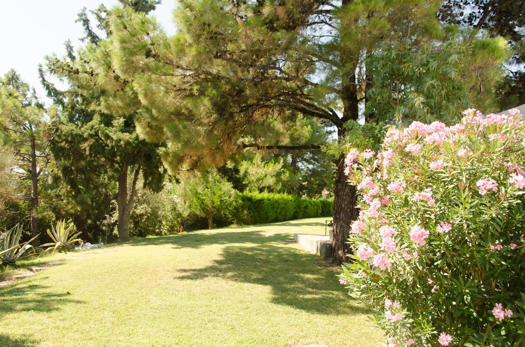 Angelbay Bungalows Agia Triada  Exterior photo